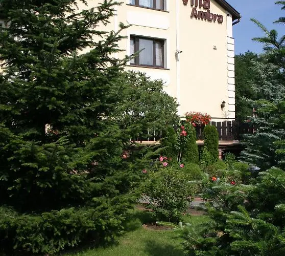 琥珀别墅酒店 住宿加早餐酒店 3*