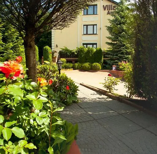 住宿加早餐酒店 琥珀别墅酒店 3*